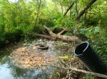 sinking creek wetlands project (9)